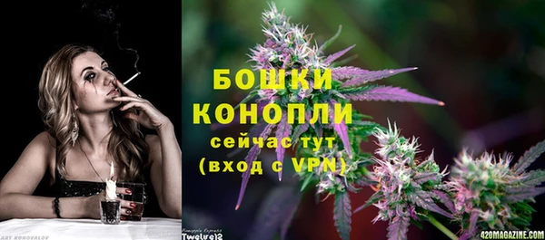 винт Магас